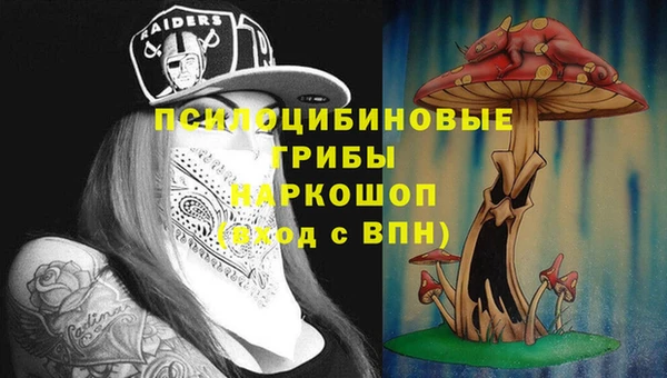 стаф Алексин