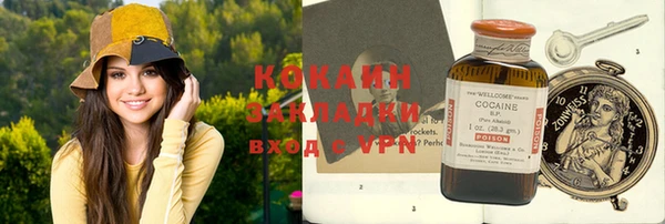 стаф Алексин